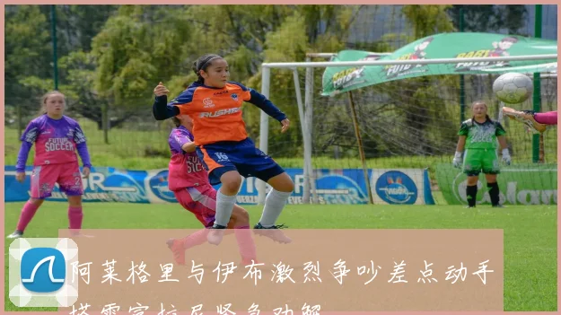 阿莱格里与伊布激烈争吵差点动手塔雷富拉尼紧急劝解